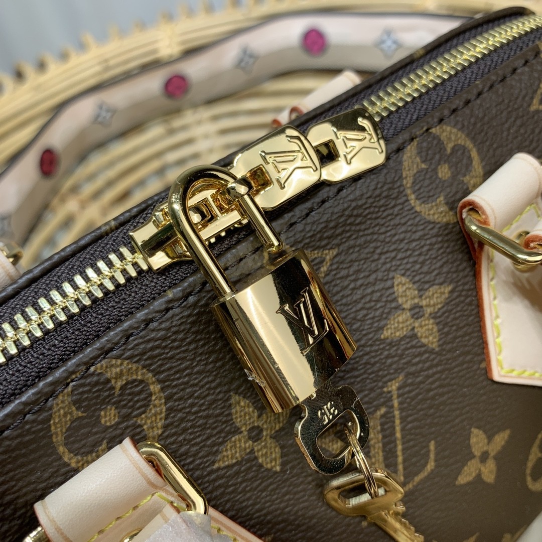 루이비통  스피디 반둘리에 20 (블랙,웨빙)