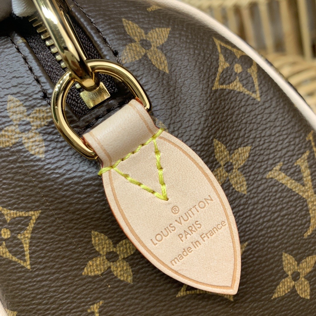 루이비통  스피디 반둘리에 20 (블랙,웨빙)