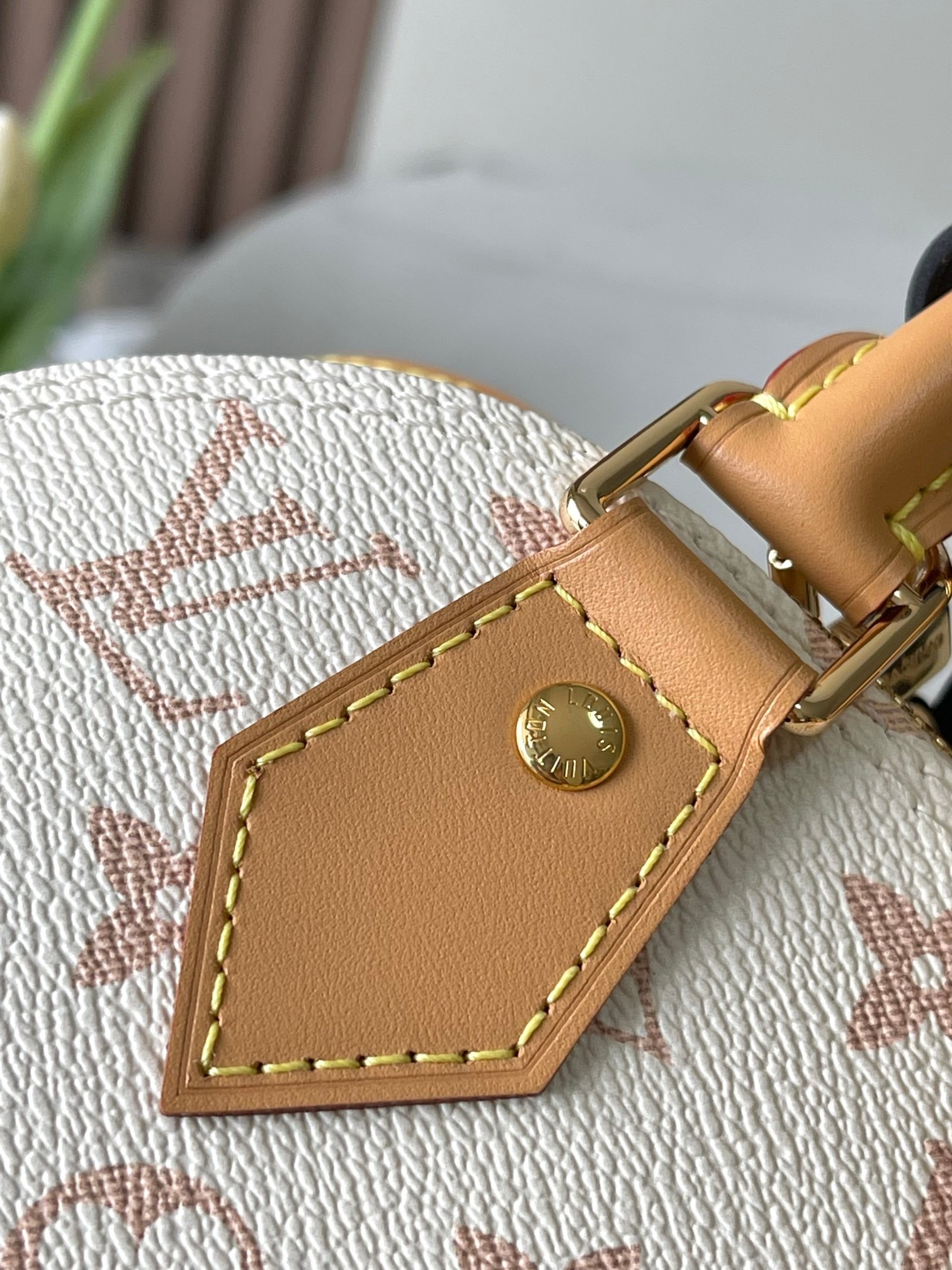 [LOUIS VUITTON-루이비통] 루이비통 나노 알마백 M46922