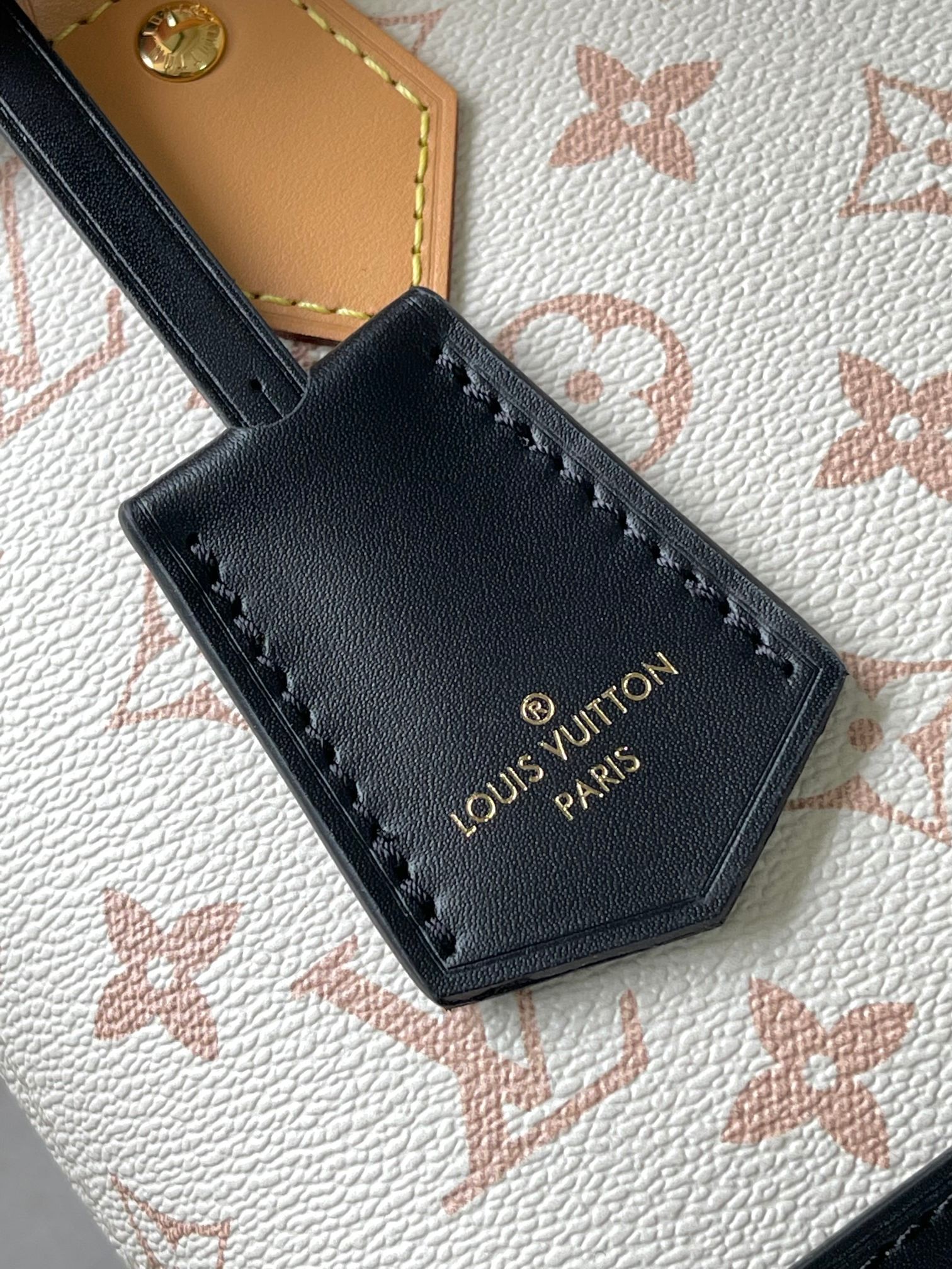 [LOUIS VUITTON-루이비통] 루이비통 나노 알마백 M46922