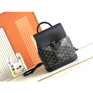 고야드 알팡 미니 백팩