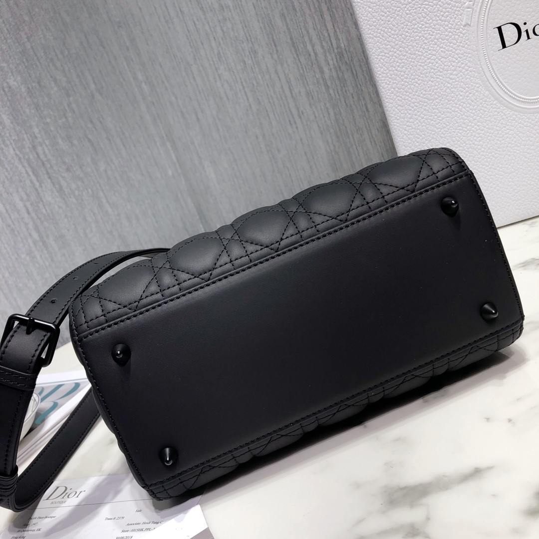 디올 레이디백 램스킨 매트 원톤 (블랙)