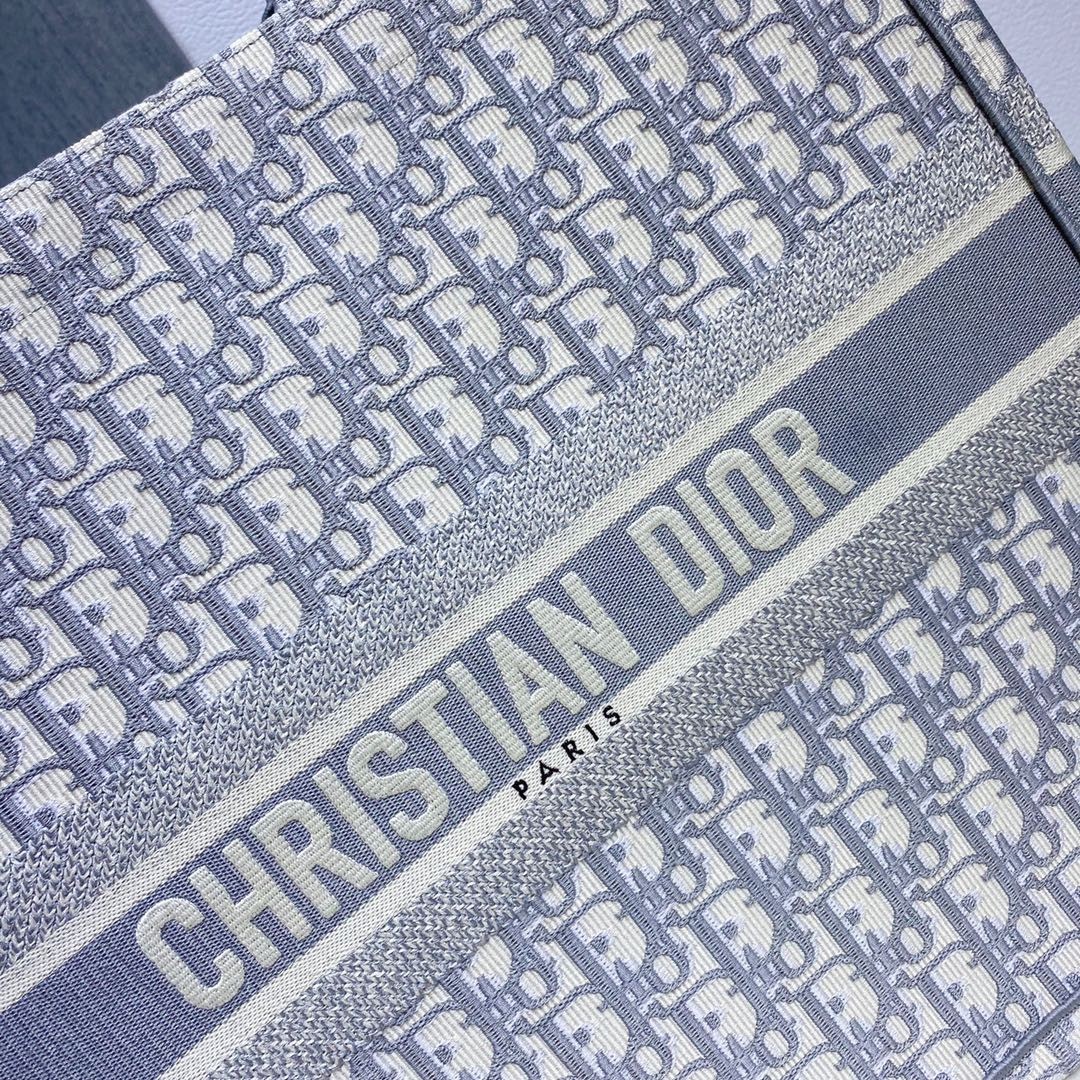 디올 북토트 오블리크 라지 (그레이)