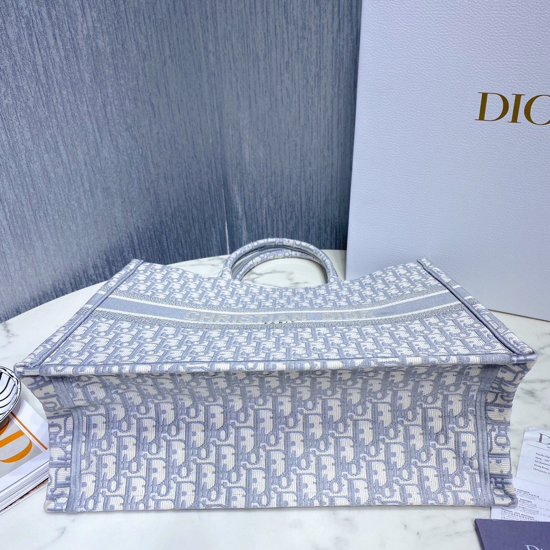 디올 북토트 오블리크 라지 (그레이)