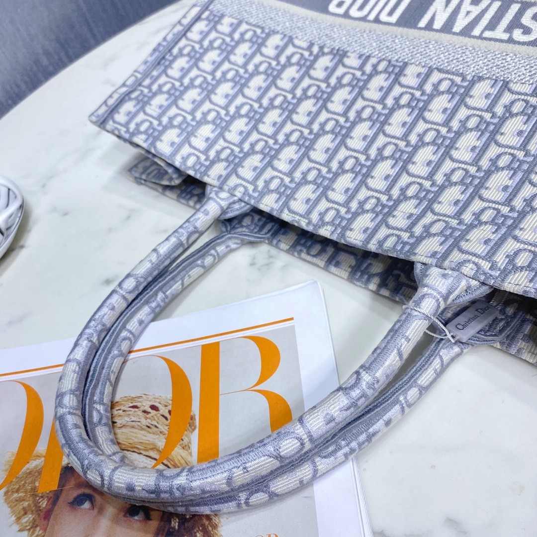 디올 북토트 오블리크 라지 (그레이)