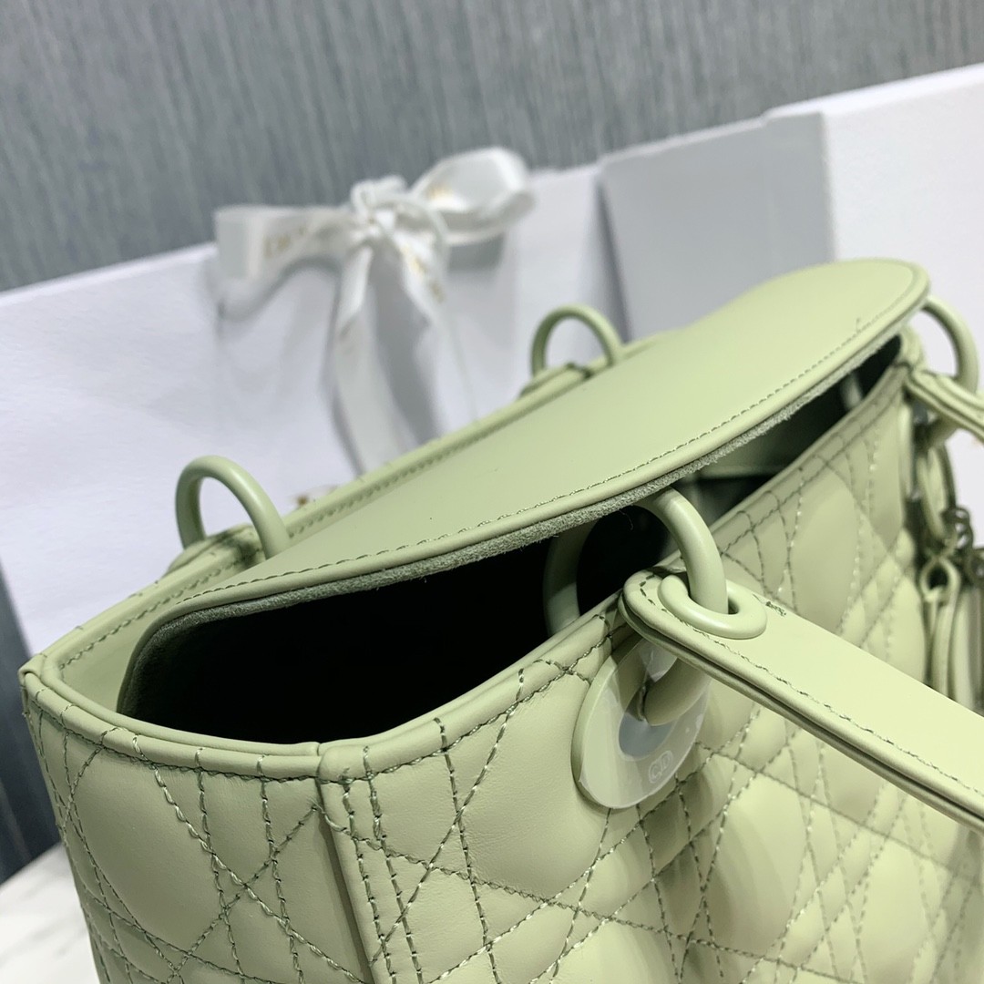 디올 레이디백 램스킨 매트 원톤 (올리브)