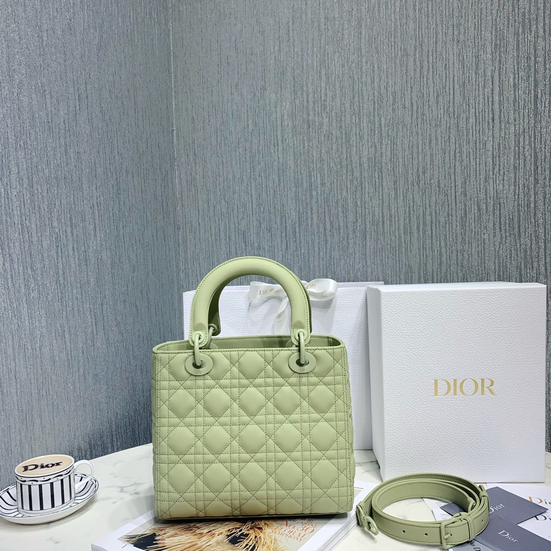 디올 레이디백 램스킨 매트 원톤 (올리브)