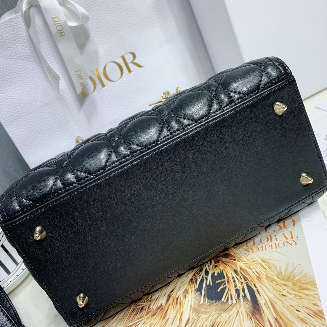 디올 레이디백 램스킨 금장 (블랙)