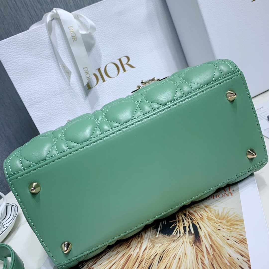 디올 레이디백 램스킨 금장 (민트)
