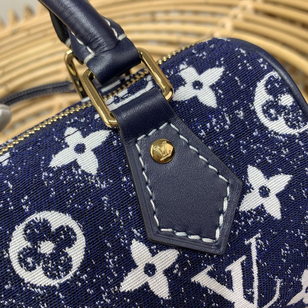 루이비통 나노 스피디 토트백