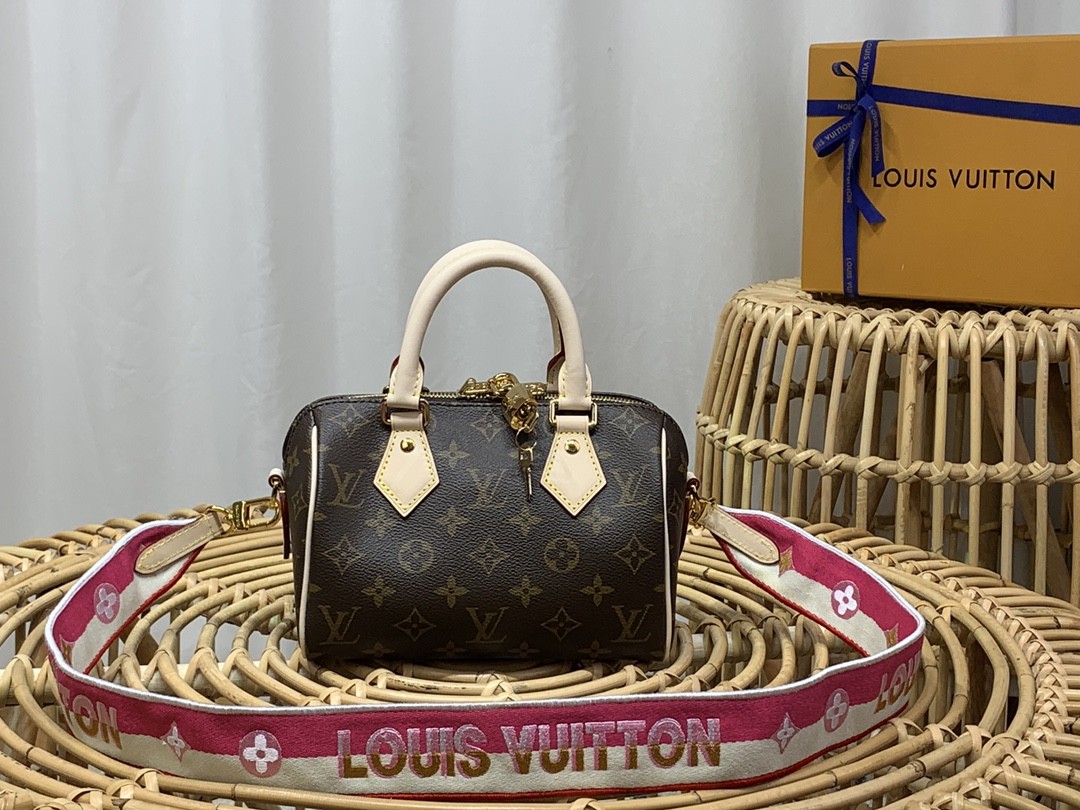 루이비통 미니 핸드백