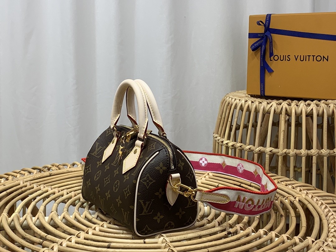 루이비통 미니 핸드백