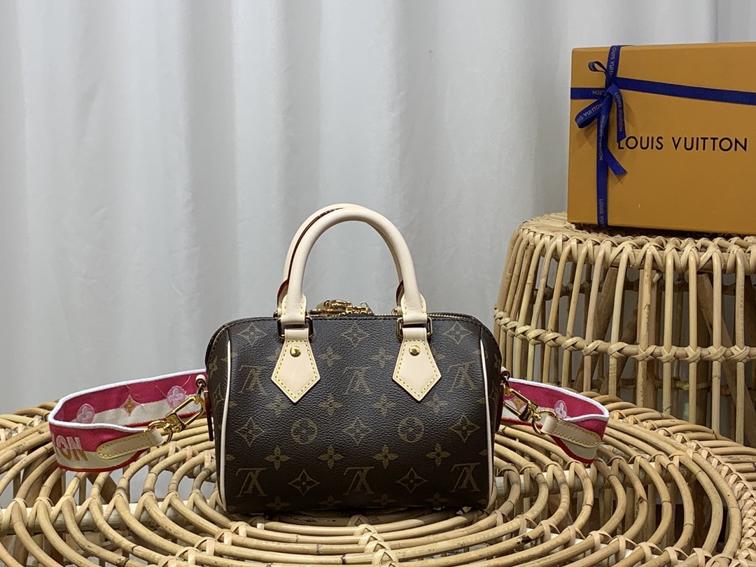 루이비통 미니 핸드백