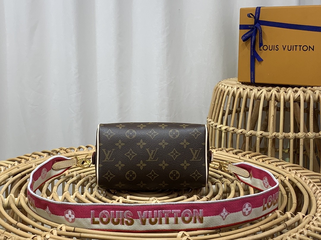 루이비통 미니 핸드백
