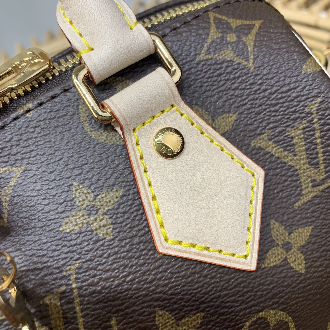 루이비통 미니 핸드백