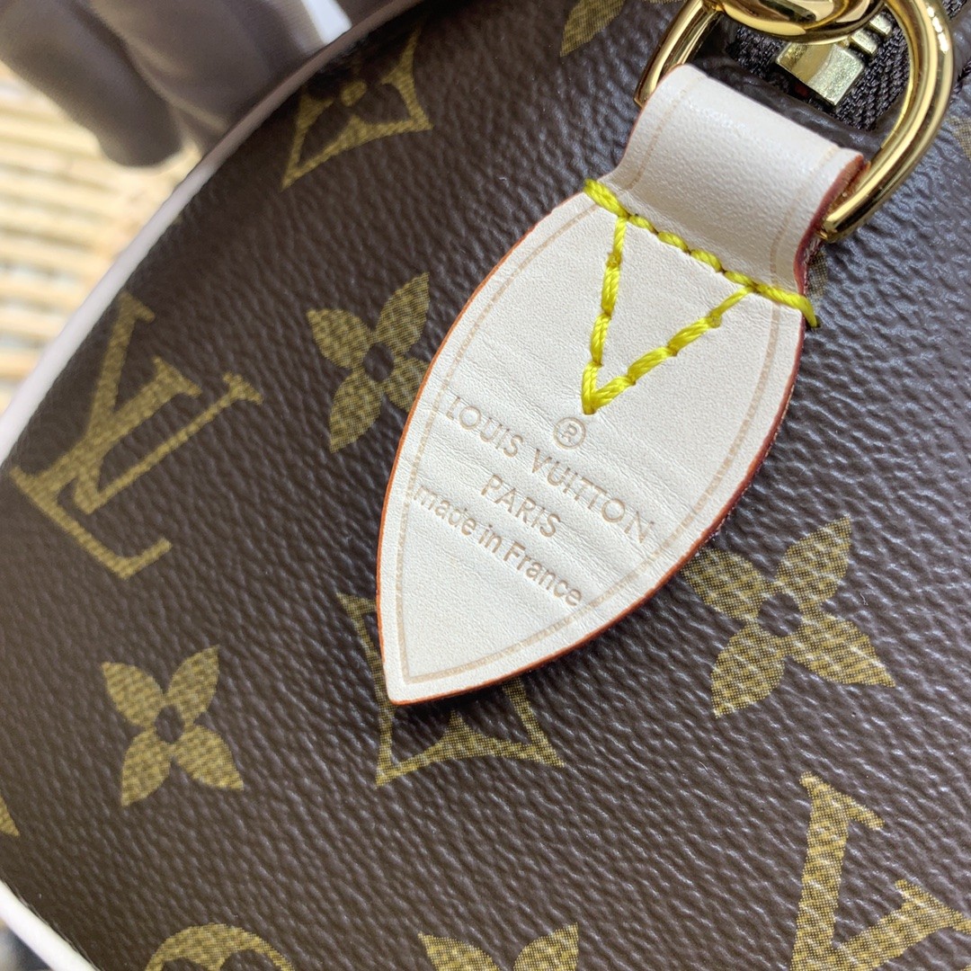 루이비통 미니 핸드백