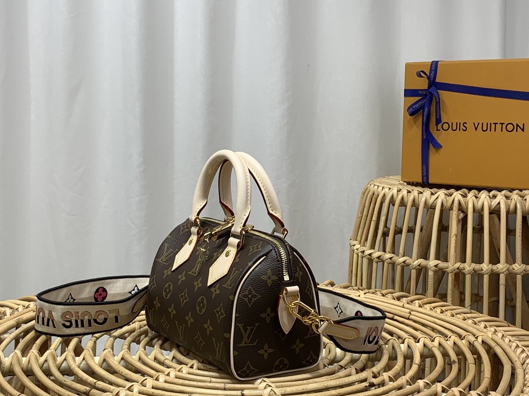 루이비통 미니 핸드백