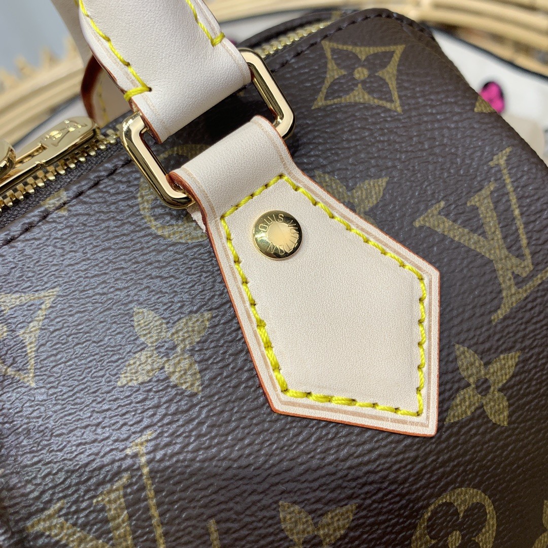 루이비통 미니 핸드백