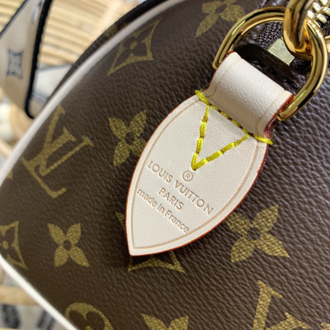 루이비통 미니 핸드백