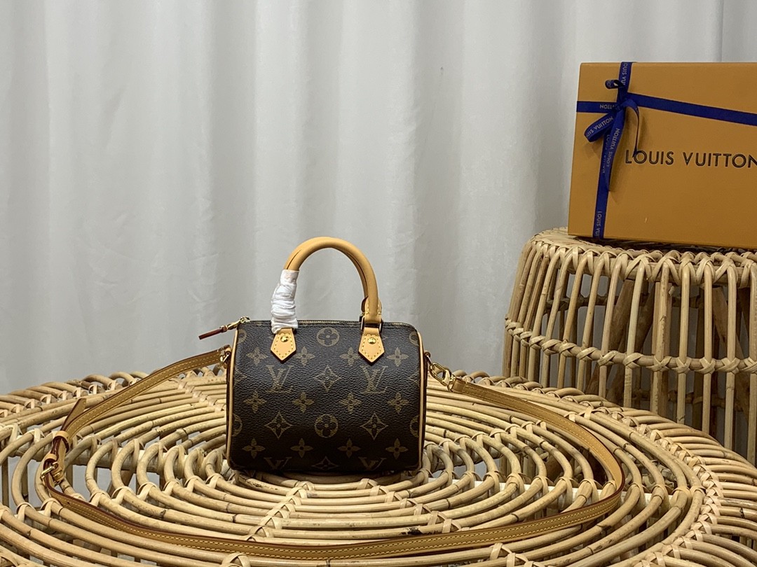 루이비통 나노 스피디 모노그램