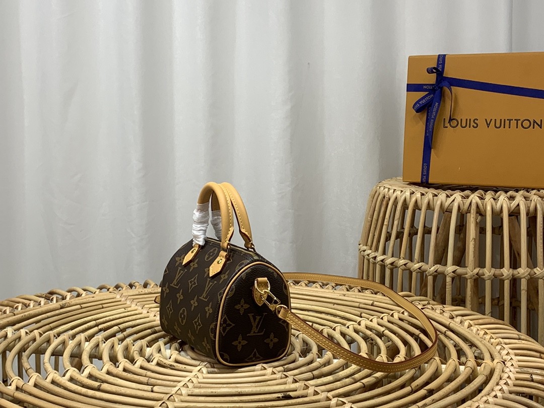 루이비통 나노 스피디 모노그램