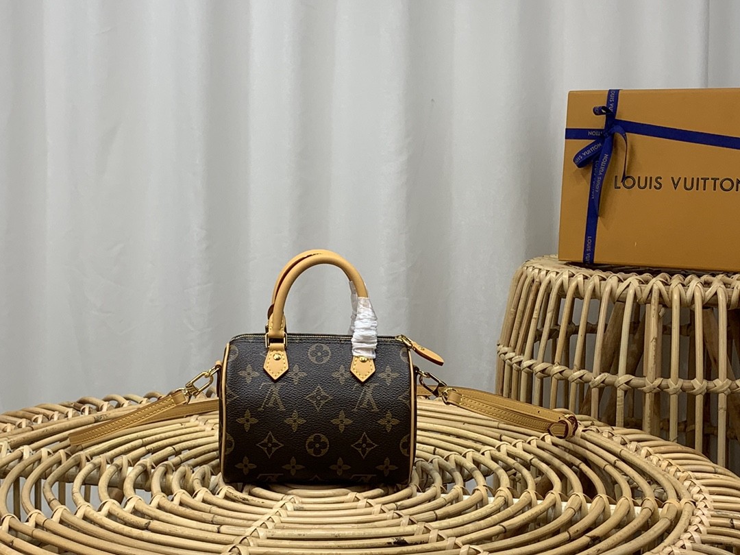 루이비통 나노 스피디 모노그램