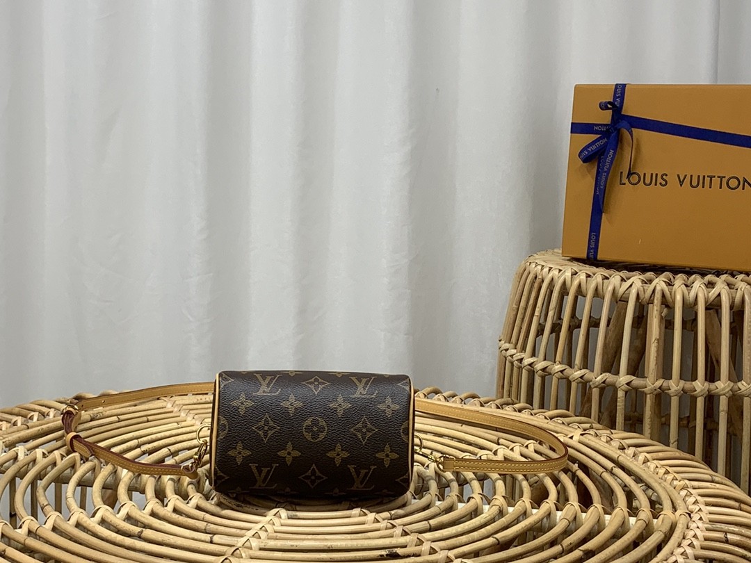 루이비통 나노 스피디 모노그램