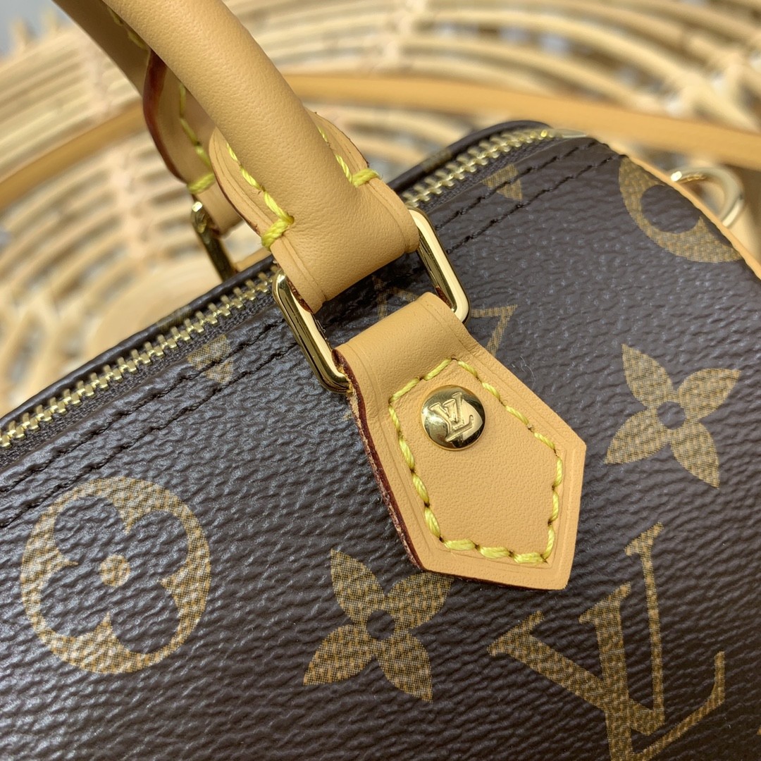 루이비통 나노 스피디 모노그램