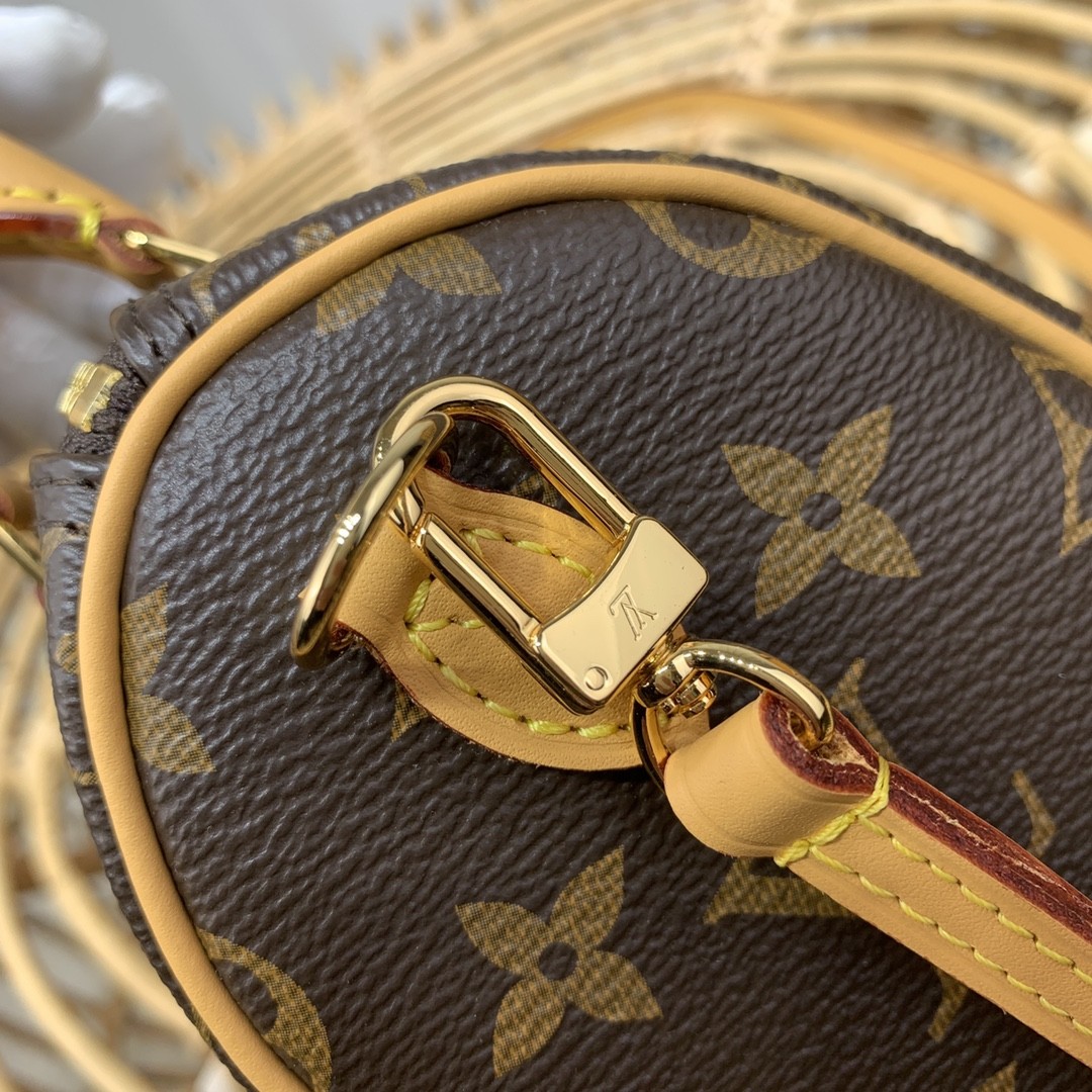 루이비통 나노 스피디 모노그램