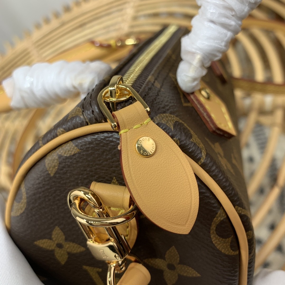 루이비통 나노 스피디 모노그램