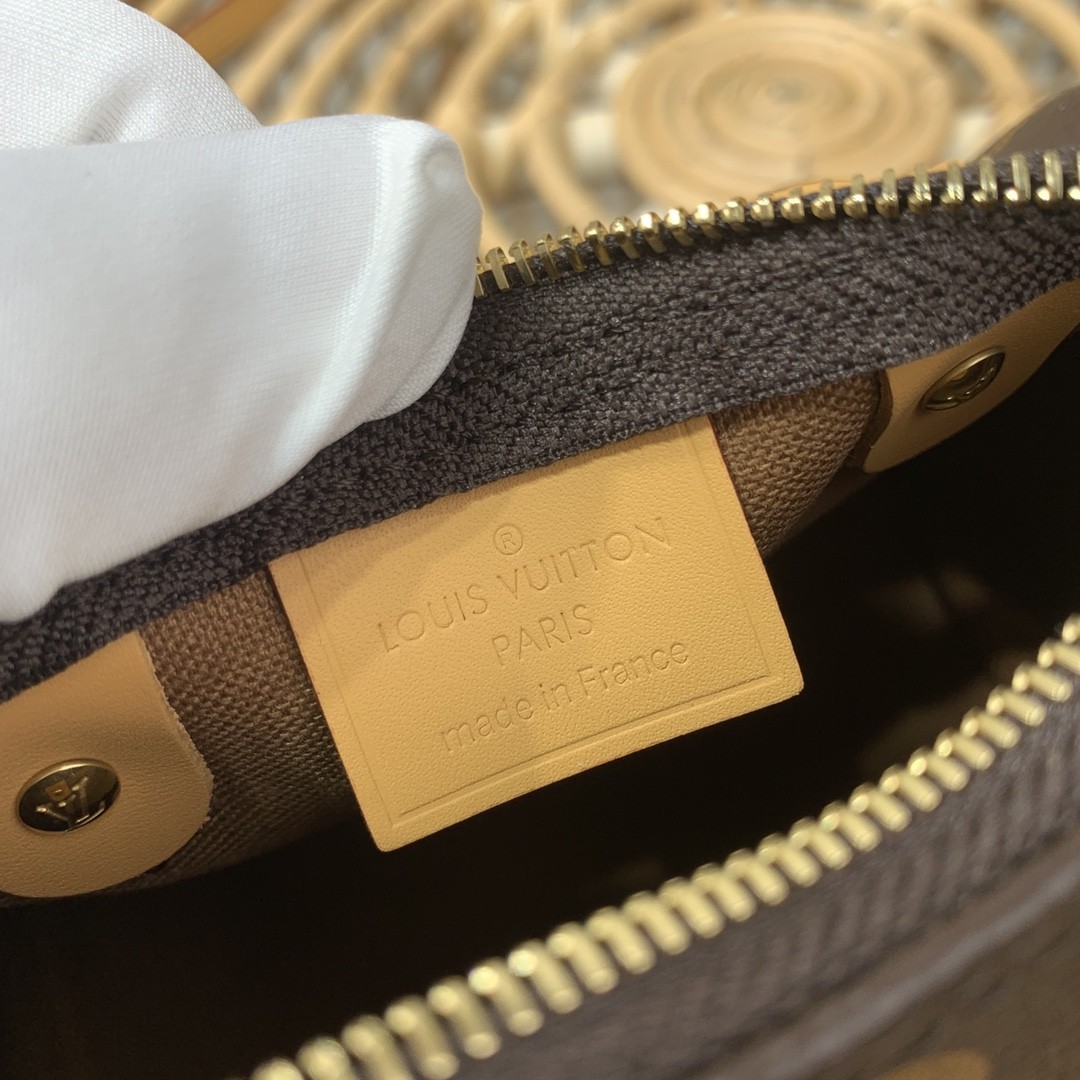 루이비통 나노 스피디 모노그램