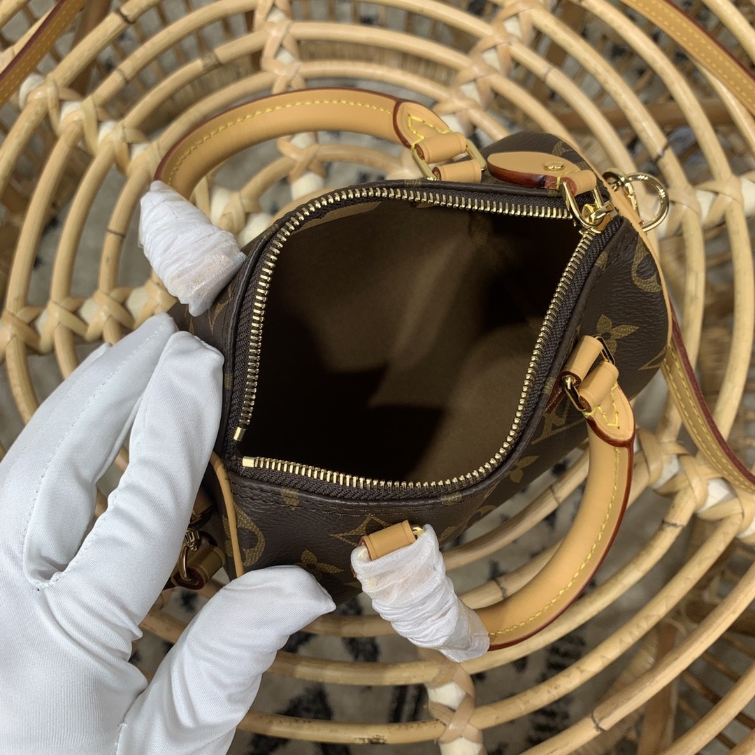 루이비통 나노 스피디 모노그램